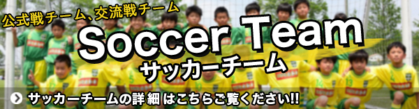 サッカーチーム